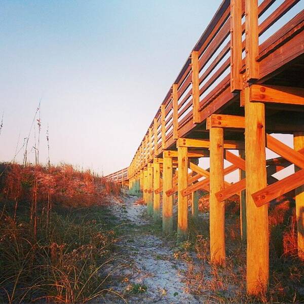 Talbot Art Print featuring the photograph Boardwalk #boardwalk by Karen Breeze