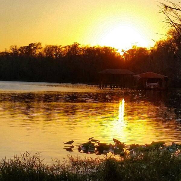 River Art Print featuring the photograph #sunset #river #nature by Karen Breeze