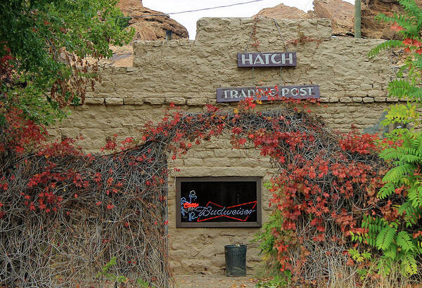 Trading Post Art Print featuring the photograph Hatch Trading Post by Jonathan Thompson