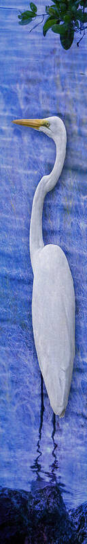 Great White Egret Photo Art Art Print featuring the photograph Great Egret White Egret Tall Light Blue by Bob Coates