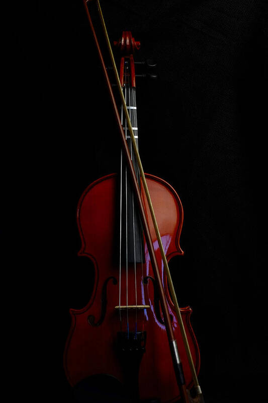 Violin Art Print featuring the photograph Violin Portrait Music 13 by David Haskett II