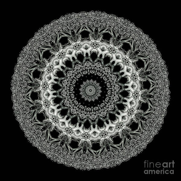 Ernst Haeckel Art Print featuring the photograph Kaleidoscope Ernst Haeckl Sea Life Series Black and White Set 2 #3 by Amy Cicconi