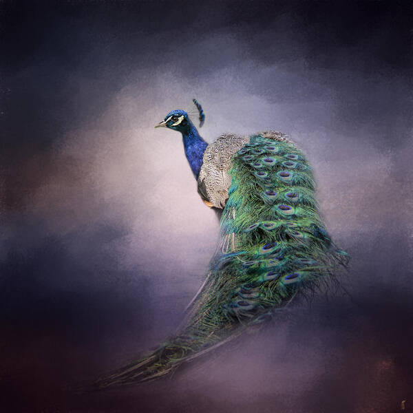 Amethyst Art Print featuring the photograph A Royal Jewel - Peacock - Wildlife by Jai Johnson