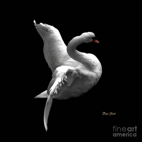  Art Print featuring the digital art Majestic Swan 2 #2 by Dale  Ford