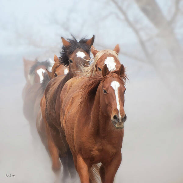 Horses Art Print featuring the photograph One By One by Phyllis Burchett