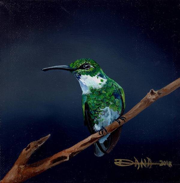 Birds Art Print featuring the painting Emerald Hummer by Dana Newman