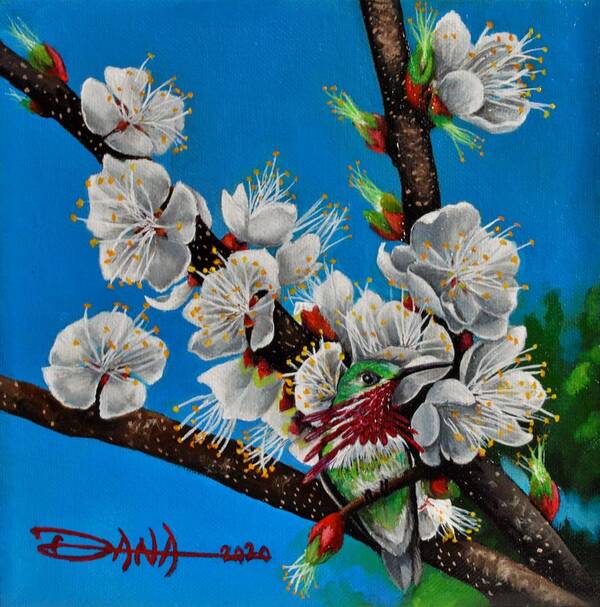 Birds Art Print featuring the painting Calliope on Plum Blossoms by Dana Newman