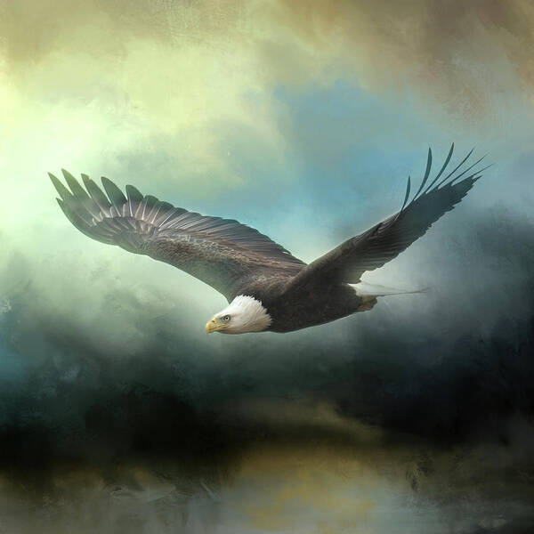 Bald Eagle Art Print featuring the photograph Mission Accomplished by Jai Johnson