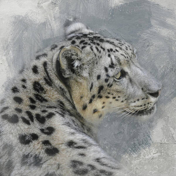 Animal Art Print featuring the photograph Patient Snow Leopard by Jai Johnson