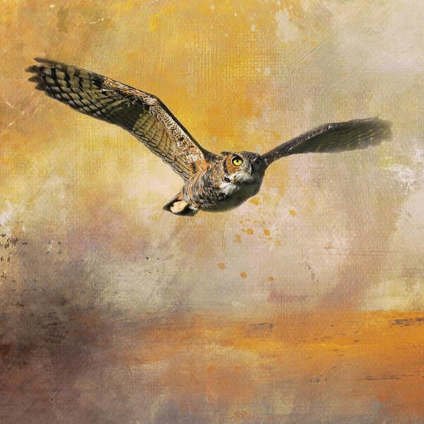 Owl Art Print featuring the photograph Sunny Days Ahead by Jai Johnson