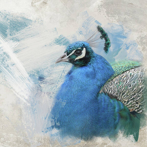 Peacock Art Print featuring the photograph Winter Peacock Patrol by Jai Johnson