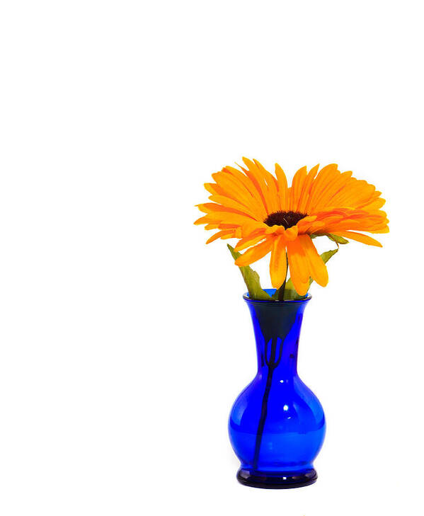 Vase Art Print featuring the photograph Blue Vase by Cecil Fuselier