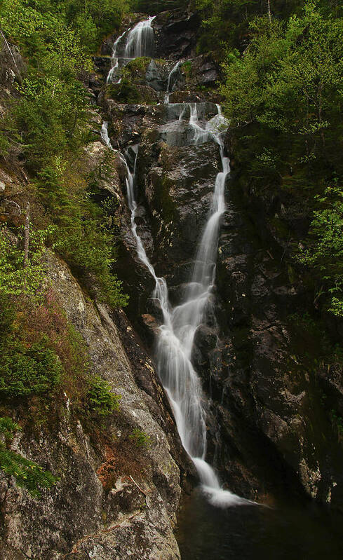 Monroe Art Print featuring the photograph Ammonoosuc Ravine Falls by Rockybranch Dreams