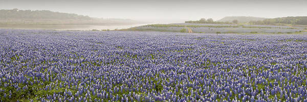  Art Print featuring the photograph Muleshoe Bend Panorama 2 by Paul Huchton