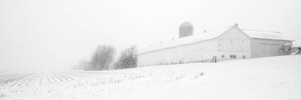 Barn Art Print featuring the photograph Fade to White - Vanishing point perspective of WI barn in blizzard by Peter Herman