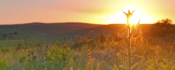 Sunset Art Print featuring the photograph Flint Hills Sunset by Ryan Heffron