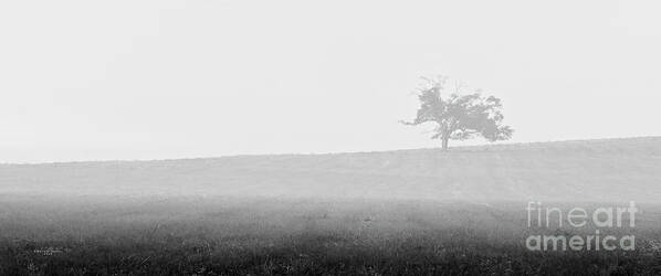 Nature Art Print featuring the photograph Lonely Hilltop by Marvin Spates