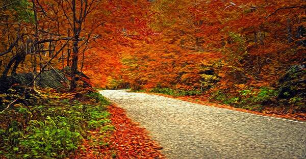 Fall Art Print featuring the photograph Road to Nowhere by Bill Howard