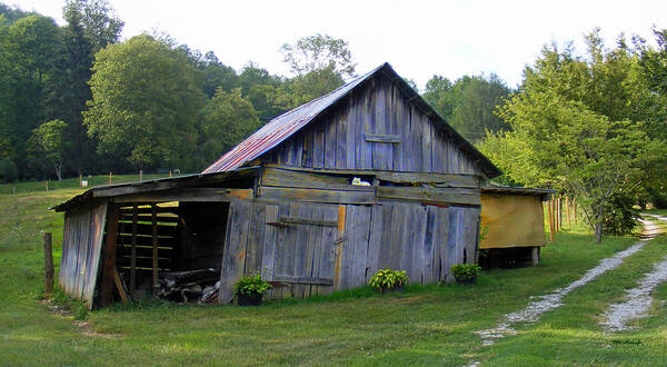 Old Barns Art Print featuring the photograph Old Barn with white cat by Duane McCullough