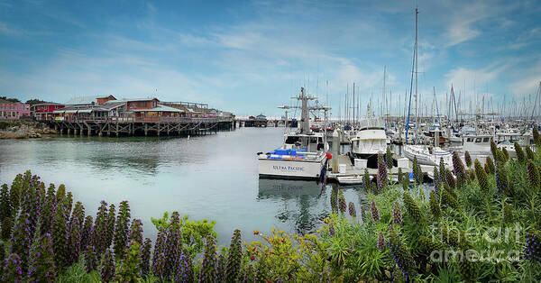Boats Art Print featuring the photograph Old Fisherman's Wharf and Harbor in Monterey by David Levin