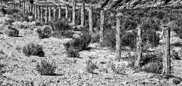 Landscape Art Print featuring the photograph Desert Fence by Bob Coates