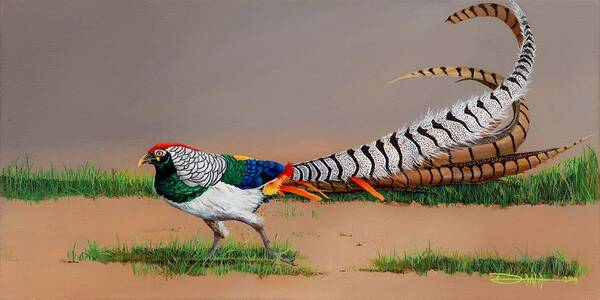 Birds Art Print featuring the painting Lady Amherst Pheasant by Dana Newman