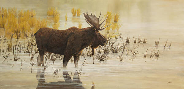 Moose Art Print featuring the painting Morning Light - Moose by Johanna Lerwick