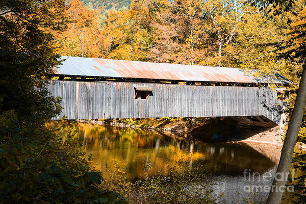 Nature Art Print featuring the photograph Covered Bridge #1 by Ronald Lutz