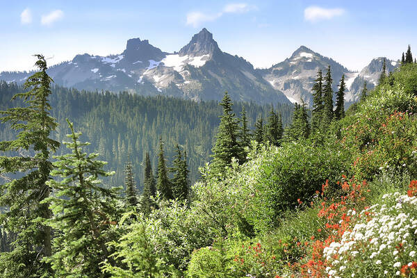 Tatoosh Range Art Print featuring the photograph Tatoosh Mountain #1 by King Wu