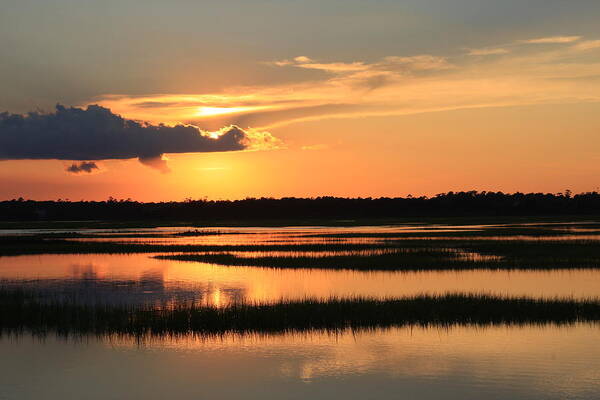 Wilmington Nc Art Print featuring the photograph Tidal Marsh Wilmington NC #1 by Michael Weeks