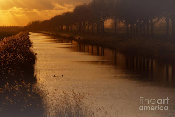 Dutch Art Print featuring the photograph Dutch landscape by Nick Biemans