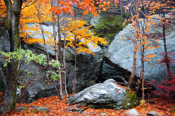 Fall Art Print featuring the photograph Fall Among The Rocks by Bill Howard