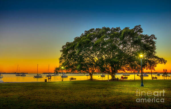 Sarasota Florida Art Print featuring the photograph Family Sunset by Marvin Spates