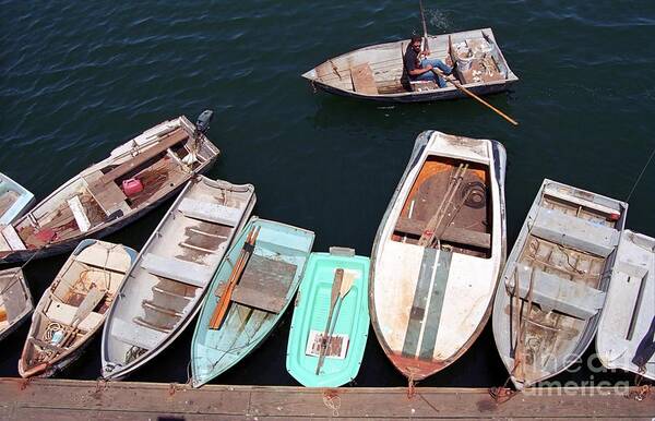 Boats Art Print featuring the photograph Full Dock by James B Toy