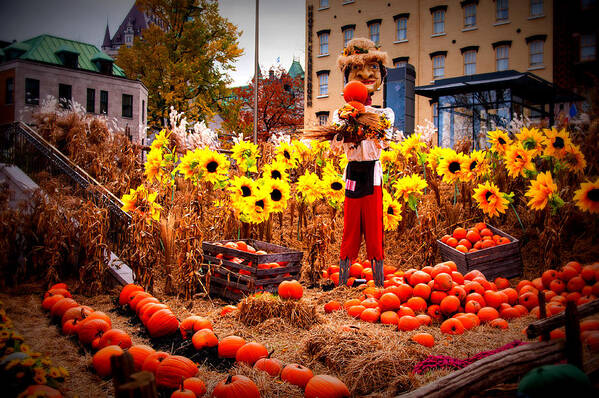 Canada Art Print featuring the photograph Halloween by Bill Howard