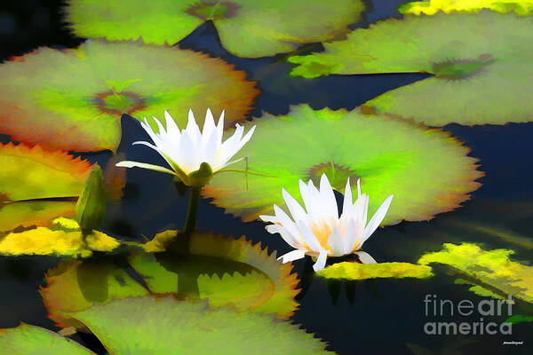 Artistic Photography Art Print featuring the photograph Lily Pond Bristol Rhode Island by Tom Prendergast