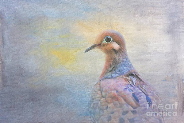 Mourning Dove Art Print featuring the digital art Mourning Dove Art by Jayne Carney