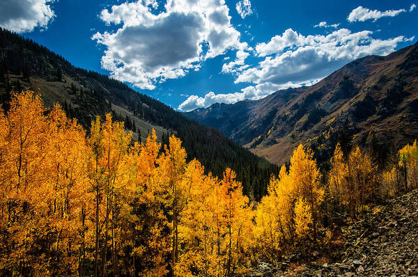 Fall Art Print featuring the photograph Ouray Gold by Elin Skov Vaeth