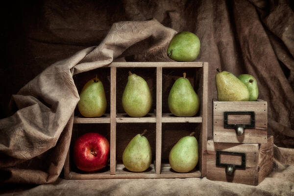 Abundance Art Print featuring the photograph Pears on Display Still Life by Tom Mc Nemar