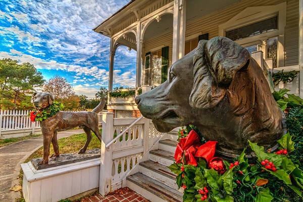 2013 Art Print featuring the photograph Pillot House Dogs by Tim Stanley