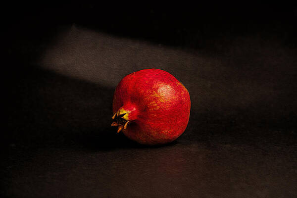 Dutch Masters Art Print featuring the photograph Pomegranate by Peter Tellone