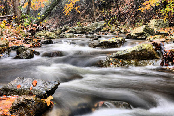 Catoctin Mountain Park Mountains Snow Snowing Blizzard October Fall Autumn Stream Creek Streams Creeks Brook Falls Water Waterfall Maryland Md Color Colors Colour Colours Scenic Rustic Woodsy Art Print featuring the photograph Downhill II by JC Findley