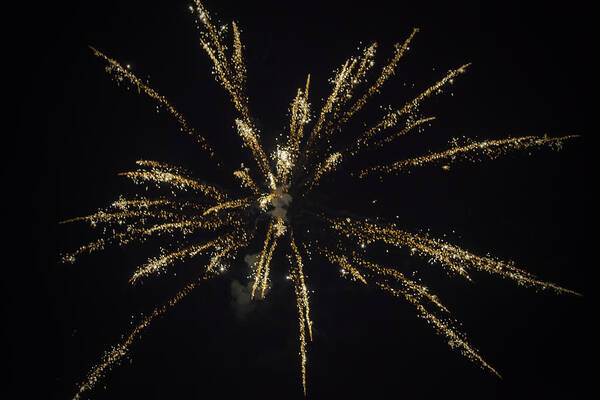 Fireworks Art Print featuring the photograph Golden Light by Kate Hannon