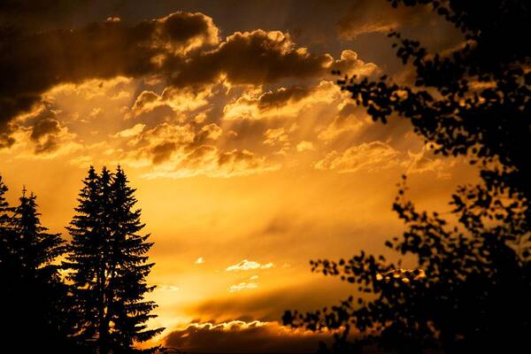 Sunset Art Print featuring the photograph Golden Sky 2 by Kevin Bone