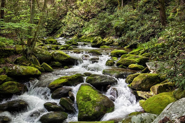 2012 Art Print featuring the photograph Mossy Creek by Ronald Lutz