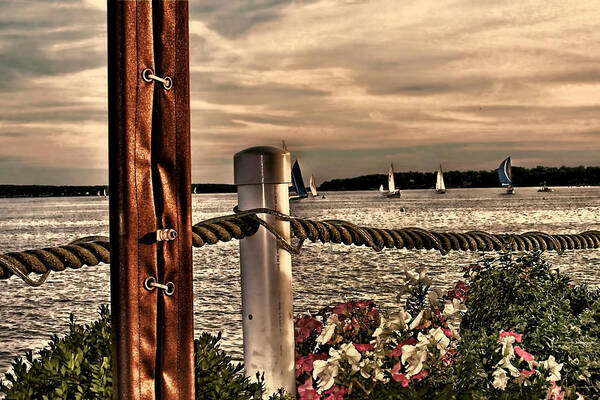 Oceans Art Print featuring the photograph Top of the Bay by Tom Prendergast