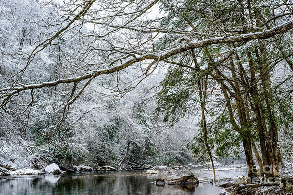 Cranberry River Art Print featuring the photograph March Snow along Cranberry River #2 by Thomas R Fletcher