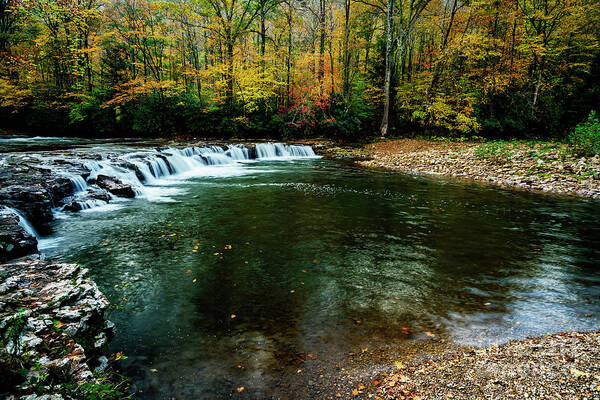 Whitaker Falls Art Print featuring the photograph Whitaker Falls in Autumn #3 by Thomas R Fletcher