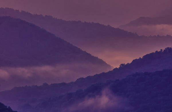 Sunrise Art Print featuring the photograph Allegheny Mountain Sunrise Two by Thomas R Fletcher