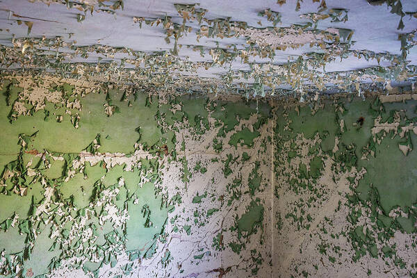 Peeling Ceiling Paint Abstract 3d Illlusion Abandoned House Haunted Horizontal Green Art Print featuring the photograph A Peeling Ceiling is not Appealing by Peter Herman